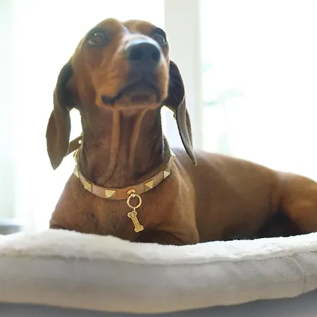 昂里之家住宿加早餐旅馆