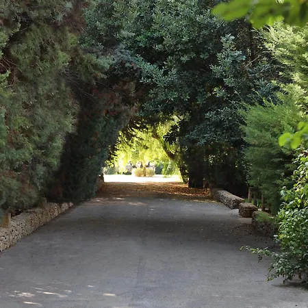 Maison D'enri לינה וארוחת בוקר גאליפולי