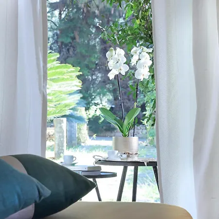 Bed and Breakfast Maison D'enri