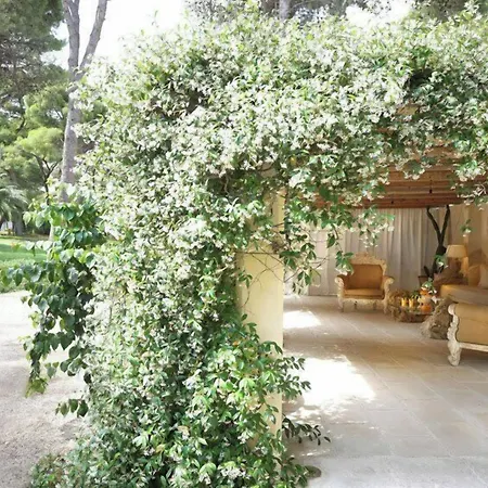 Bed and breakfast Maison D'enri 4*