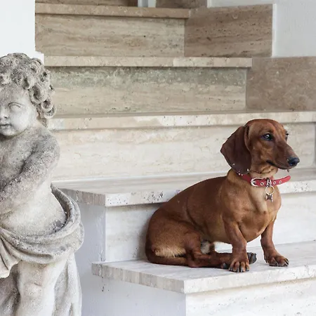 Bed & Breakfast Maison D'enri 4*