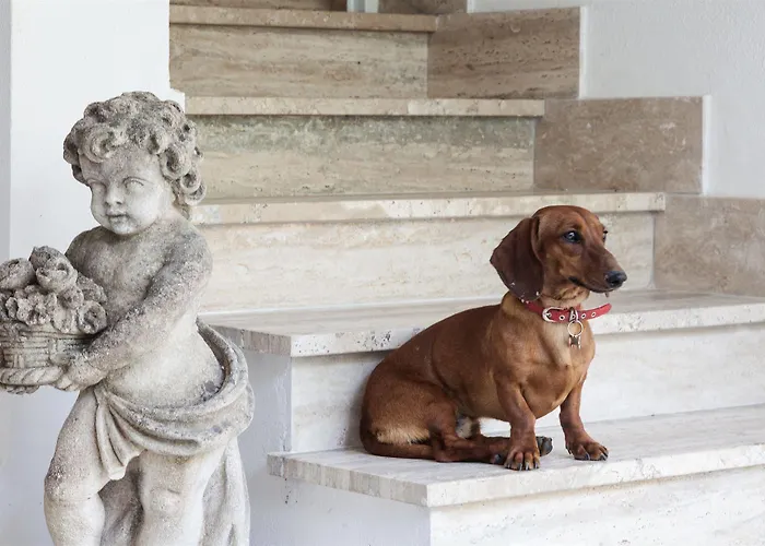 ベッド・アンド・ブレックファスト Maison D'enri 4*